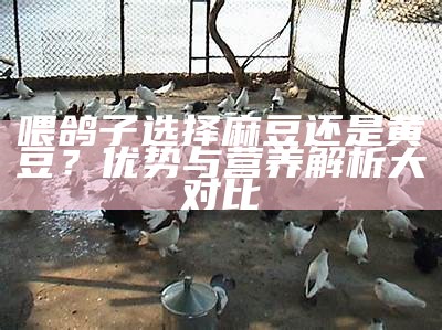 喂鸽子选择麻豆还是黄豆？优势与营养解析大对比