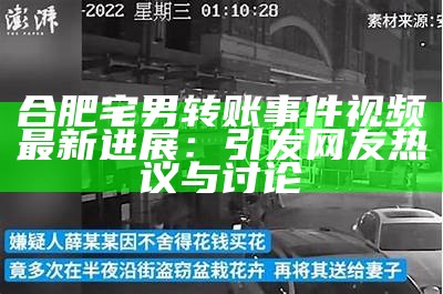 合肥宅男转账事件视频最新进展：引发网友热议与讨论